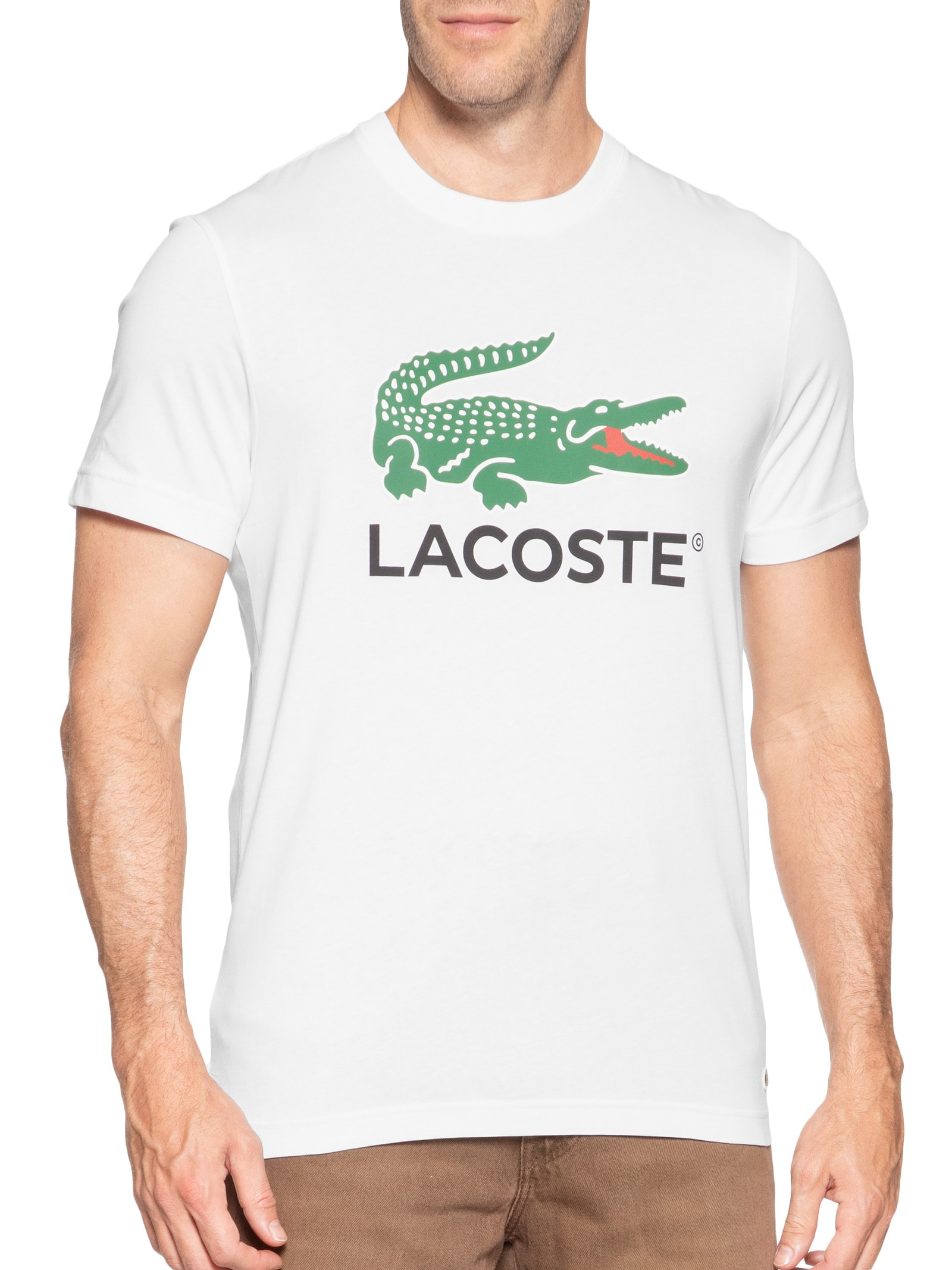 Camiseta Masculina Regular Fit Signature - Image 7